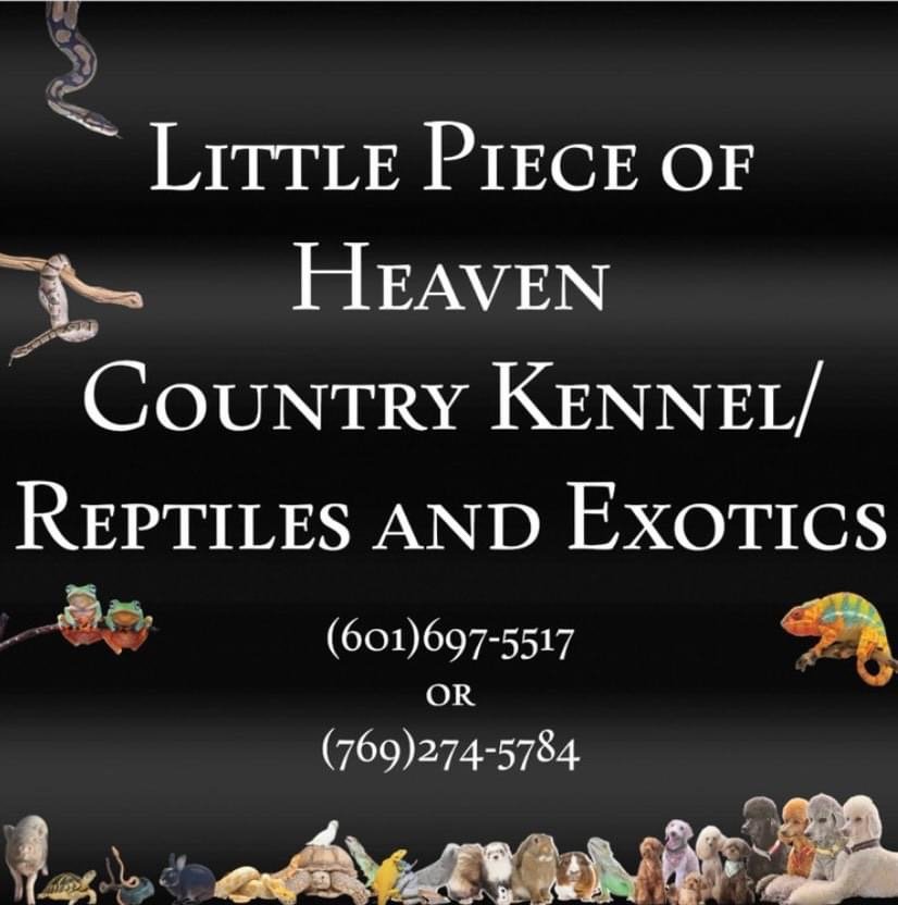 Little Piece of Heaven Country Kennel/Reptiles and Exotics - insect farming in Lake, MS
