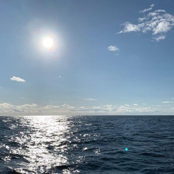 Dolphin Fleet - Boat Charters Near Me - Provincetown, Massachusetts