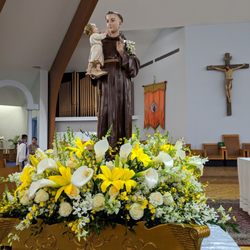 Little Brook Florist & Garden Center - Santo Antonio