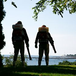 Ecotech Pest Control Services - Treating Mosquitos and ticks in the New Hampshire Seacoast and Maine Southern York County for 23 years
