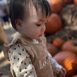 Dallas Arboretum and Botanical Garden - Pumpkin  patch