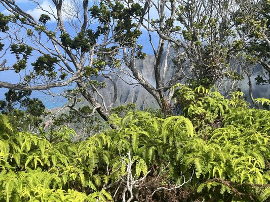 Waimea Canyon State Park by null Waimea Canyon State Park by null