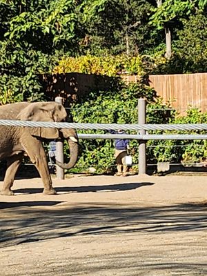 Roger Williams Park Zoo by null