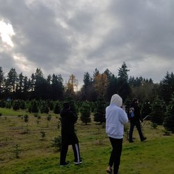 Double Four Tree Farm - Tough choice bros