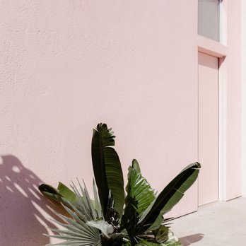 The Little Branch - Florists Near Me - Los Angeles, California