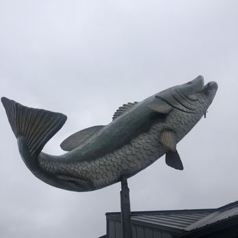 Wild Dog Bar and Grill - a large fish on a pole - New American Near Me - Decatur, Illinois Wild Dog Bar and Grill - a large fish on a pole - New American Near Me - Decatur, Illinois