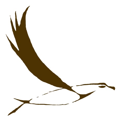 The Bird Law Firm - divorce attorney in Lincoln, NE