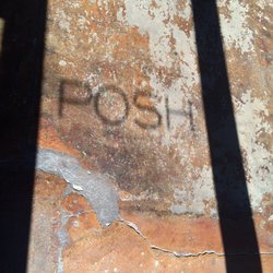 Posh Collective