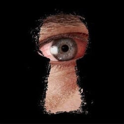 The Basement: A Live Escape Room Experience - Rated as the #1 escape room in the United States by Yelp. THE BASEMENT: A Live Escape Room Experience