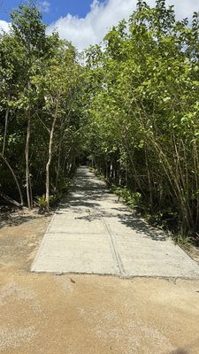 Laguna de Kaan Luum by null