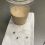 Photo of Paramour Coffee