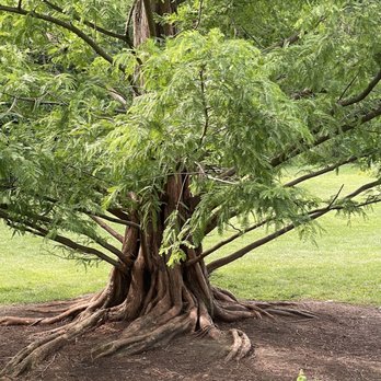 Wegerzyn Gardens Metroparks - Parks Near Me - Dayton, Ohio