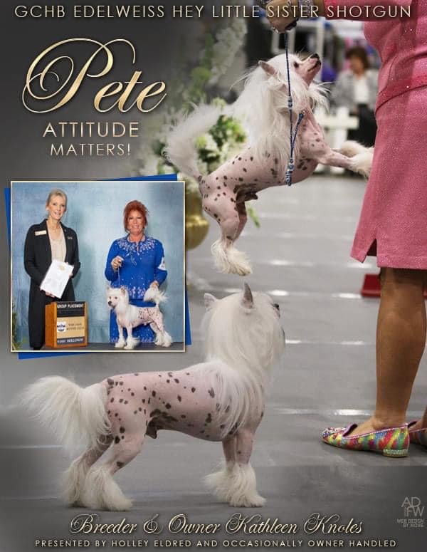 DAL ACRES WEST KENNELS Updated September 2024 11 Reviews 2508 W Jefferson St, Springfield