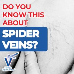 Florida Vein Center 