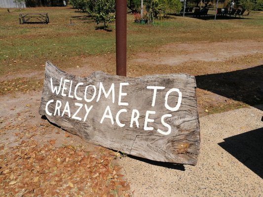 Crazy Acres by null