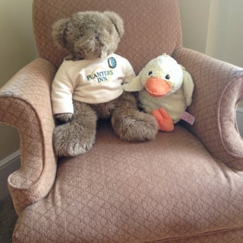 Planters Inn - The hotel bear who you can buy along with world traveler Duckie. - Hotels Near Me - Charleston, South Carolina