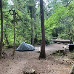 Newhalem Campground - Campground