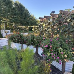 Daydream Farm Winery - Beautiful walkway greeting you to outdoor seating area
