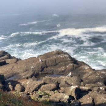 WorldMark Depoe Bay - Resorts Near Me - Depoe Bay, Oregon WorldMark Depoe Bay - Resorts Near Me - Depoe Bay, Oregon