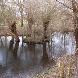 Burggräfte