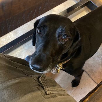 Stone Church Brewing - Dog friendly ! - Breweries Near Me - Corona, California Stone Church Brewing - Dog friendly ! - Breweries Near Me - Corona, California