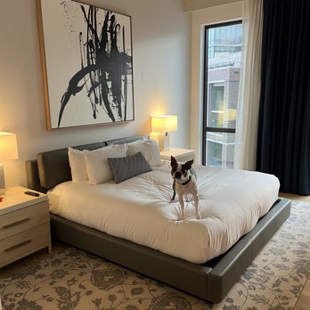 Kimpton Pittman Hotel - Hotels Near Me - Dallas, Texas Kimpton Pittman Hotel - Hotels Near Me - Dallas, Texas