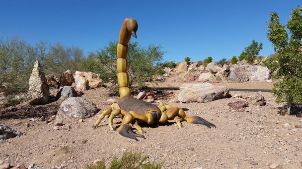 Bootleg Canyon by null