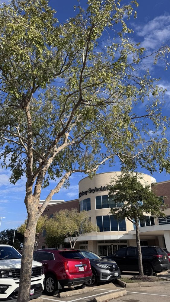 Kelsey-Seybold Clinic - Fort Bend Medical and Diagnostic Center - patient advocate in Sugar Land, TX