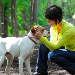 Pet Loss At Home