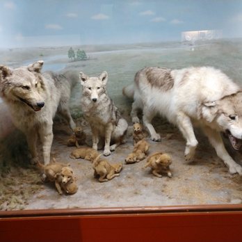 Hastings Museum - Museums Near Me - Hastings, Nebraska Hastings Museum - Museums Near Me - Hastings, Nebraska