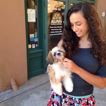 All Pets Animal Hospital - He had no clue he received a shot since he was so excited about his puppy Popsicle:) - Veterinarians Near Me - Encinitas, California