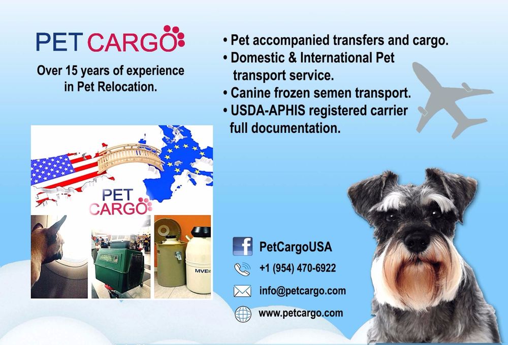 pet transfers
