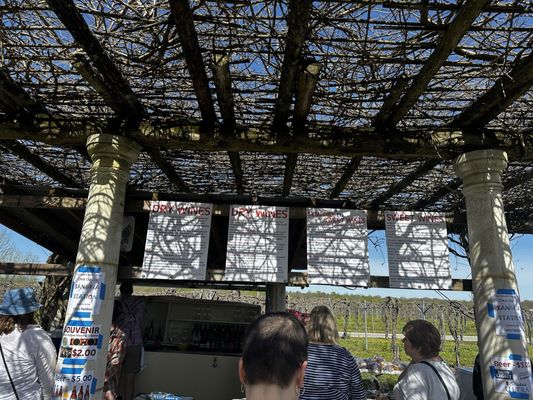 Blue Sky Vineyard by null