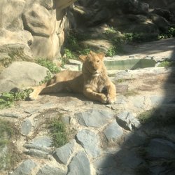 Zoologická zahrada Olomouc