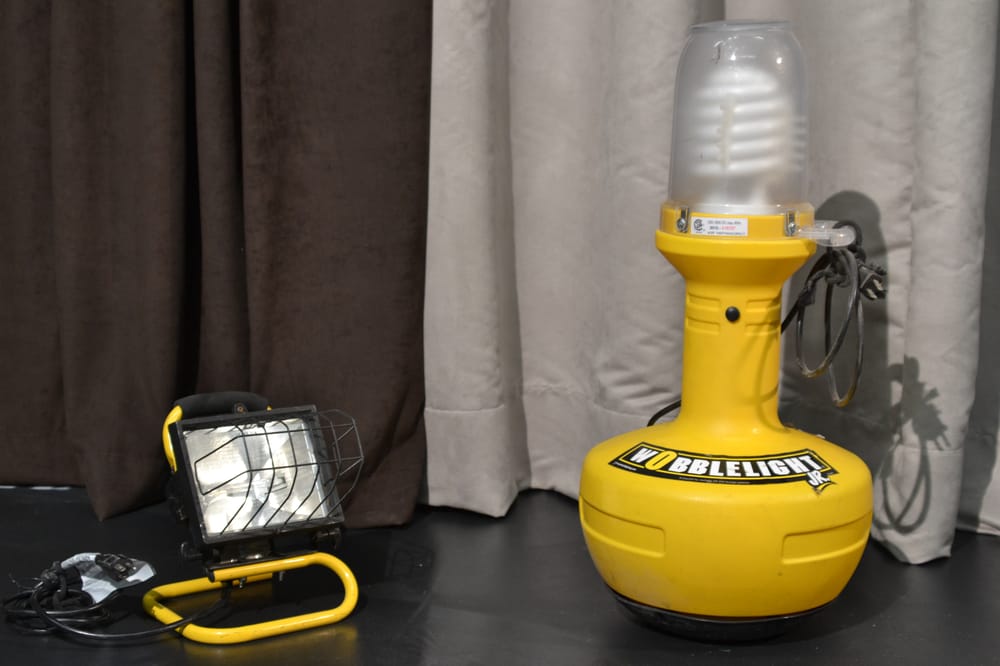 Wobblelight Jr Replacement Bulb Canada Shelly Lighting