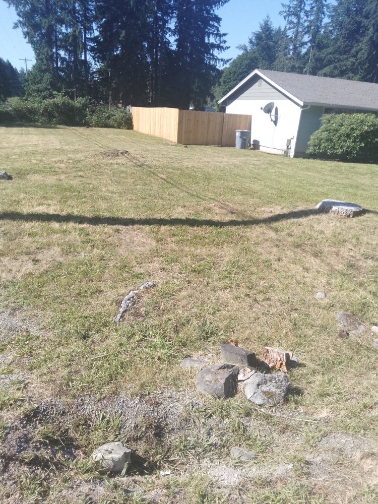 DJ'S Lawn Care - tree service in Tacoma, WA