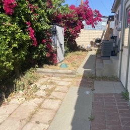 Side yard (before)
