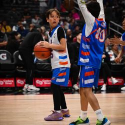 Royal Basketball School