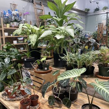 City Grows - Nurseries & Gardening Near Me - Pittsburgh, Pennsylvania City Grows - Nurseries & Gardening Near Me - Pittsburgh, Pennsylvania
