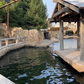 Glacier Run - Zoos Near Me - Louisville, Kentucky Glacier Run - Zoos Near Me - Louisville, Kentucky