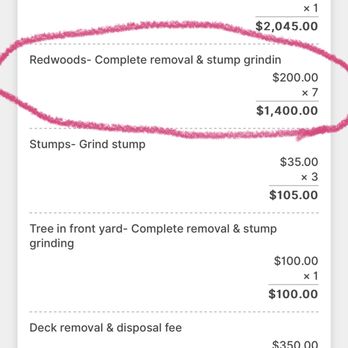 Beyond Tree Care - Tree Services Near Me - Lathrop, California