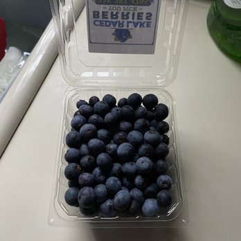 Cedar Lake Berry - Pick Your Own Farms Near Me - Jonesville, North Carolina Cedar Lake Berry - Pick Your Own Farms Near Me - Jonesville, North Carolina