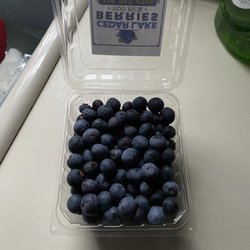 Cedar Lake Berry