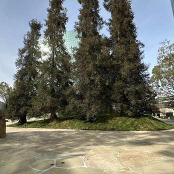 California Scenario - Botanical Gardens Near Me - Costa Mesa, California