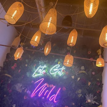 Wild - Indoor - Coffee & Tea Near Me - Houston, Texas Wild - Indoor - Coffee & Tea Near Me - Houston, Texas