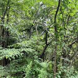 Mt Philo State Park