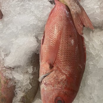 Adams Fairacre Farms - Red snapper - Farmers Market Near Me - Wappingers Falls, New York Adams Fairacre Farms - Red snapper - Farmers Market Near Me - Wappingers Falls, New York