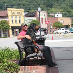 Good Citizen k9
