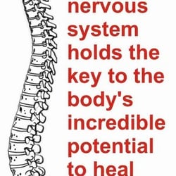 Neighborhood Chiropractic Center - Healthy Spine for healthy lives