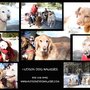 Photo of Hudson Dog Walker